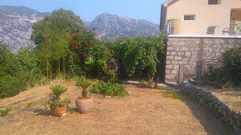 Apartment Rose Garden Risan Kültér fotó