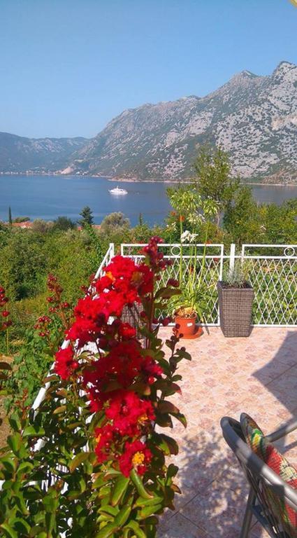 Apartment Rose Garden Risan Kültér fotó